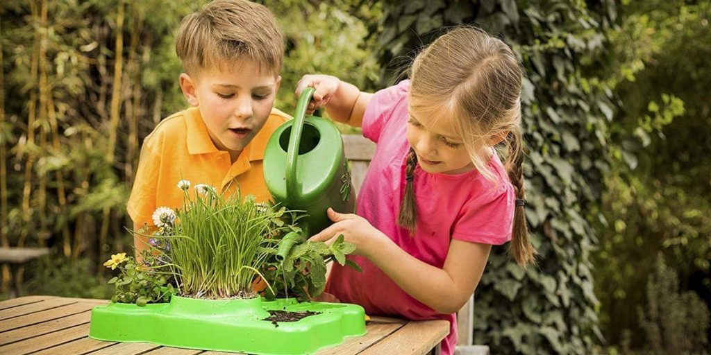 faire découvrir les plantes aromatiques aux enfants