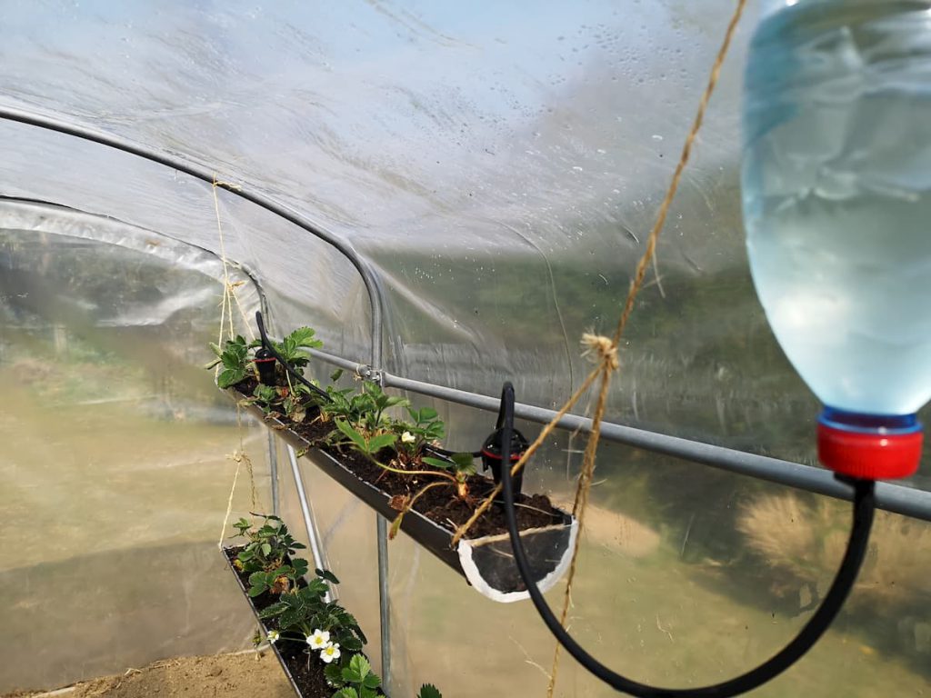 système-de-goutte-a-goutte-alimentée-par-bouteille